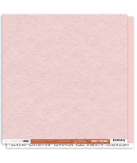 CARNET ENCHANTÉ Back to...