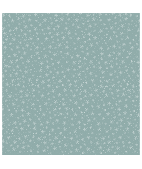 SIMILI CUIR ETOILE DES NEIGES