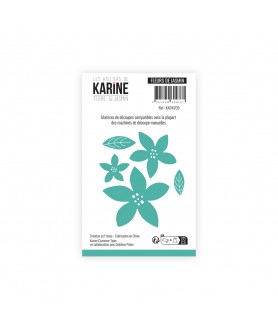 Terre & Jasmin DIE FLEURS...