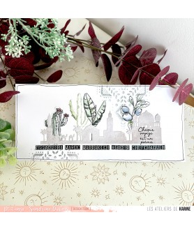 Tampon Clear Terre & Jasmin...