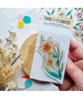 Tampon Clear JONQUILLE