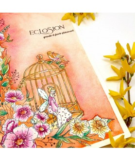 Tampon Clear LA CAGE