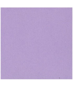 Papier Bazzill Purple...
