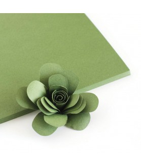 MOSSY CARDSTOCK