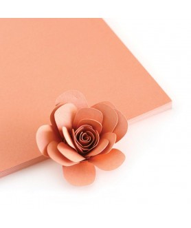 PEACH CARDSTOCK