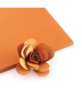 RUSTY CARDSTOCK