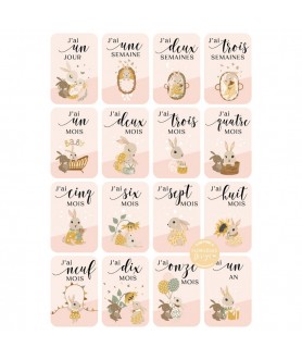 CARTES ÉTAPE BÉBÉ ROSE SAUMON