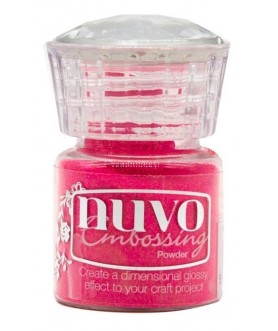 Nuvo Embossing Powder...